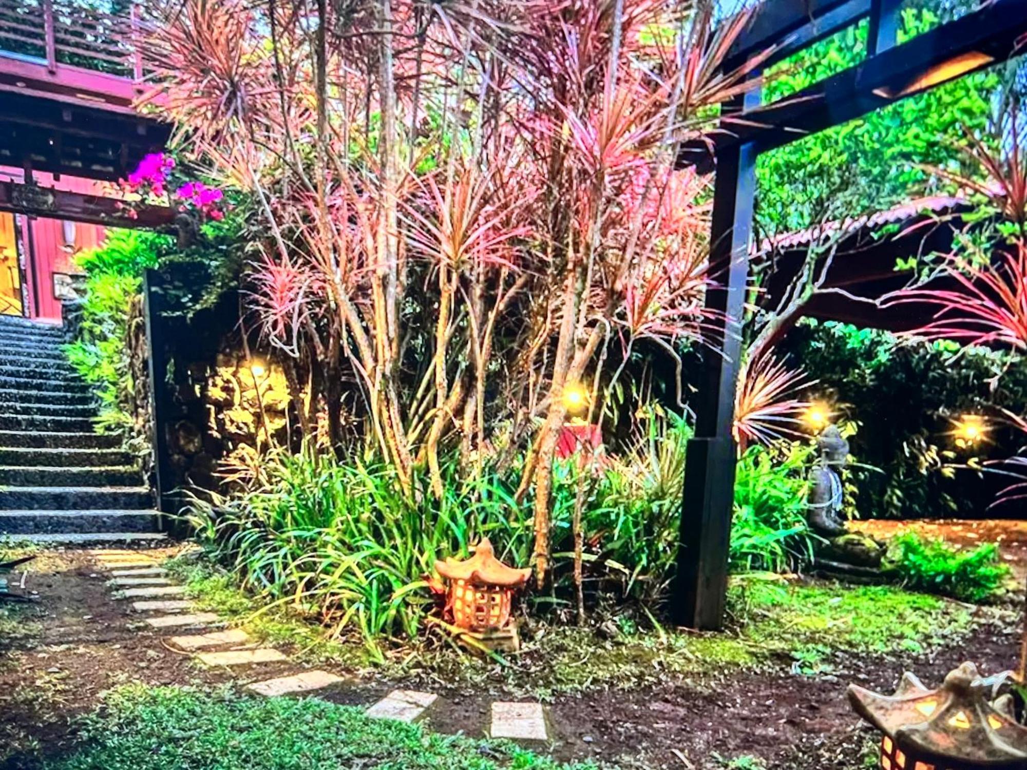 The Bali House And Cottage At Kehena Beach Hawaii Εξωτερικό φωτογραφία